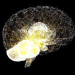 ニューラルネットワーク